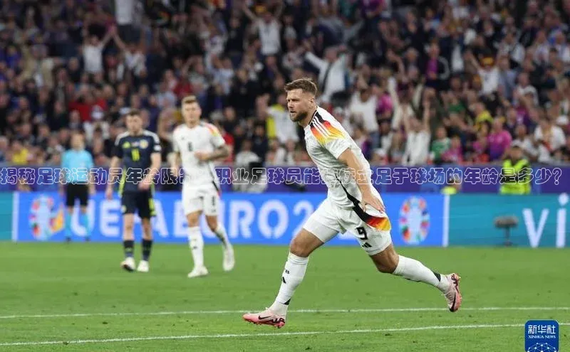 新宝登录app入口手机版颐驰 06