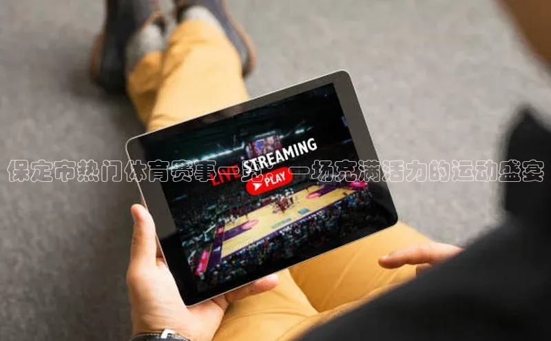 新宝gg在线注册百度翻译App