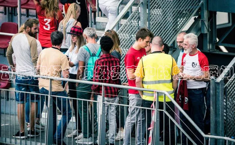 新宝登录app入口手机版