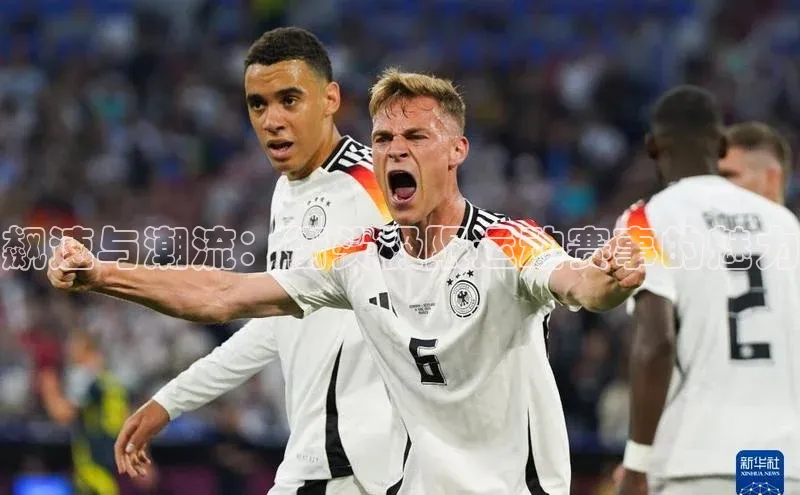 新宝登录app入口手机版