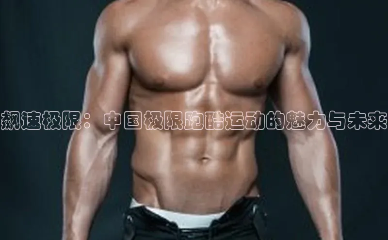 新宝登录app入口手机版