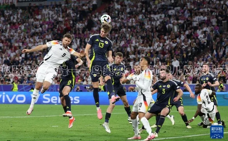 新宝gg平台注册官网