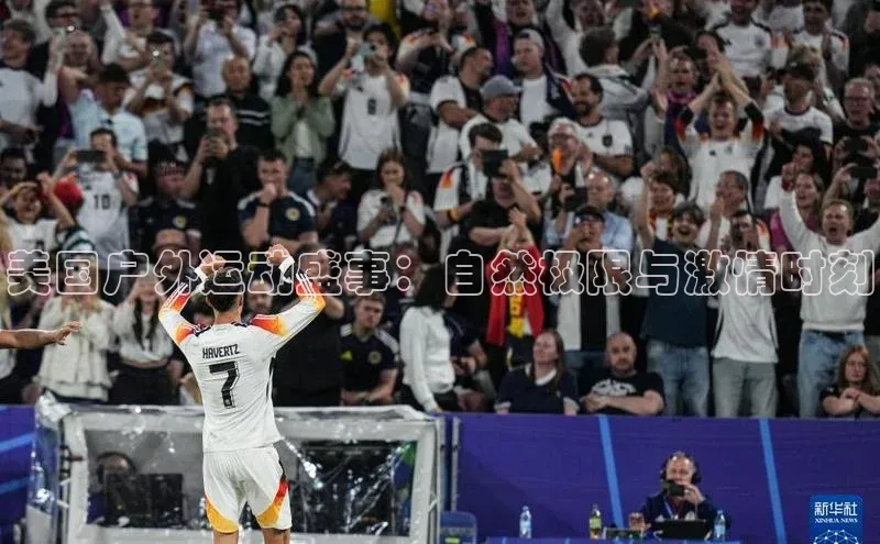 新宝gg平台注册官网